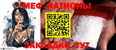 прущие грибы Балахна