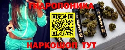 прущие грибы Балахна
