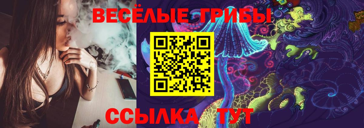 купить наркотик  Галлюциногенные грибы Cubensis  Вход с VPN  Гусиноозёрск 
